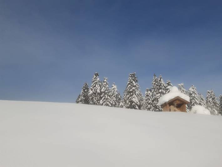 Ganze Ferienwohnung, Ferienwohnung Panorama - neue Ferienwohnung in Bregenzerwald (Vorarlberg), Sulzberg (Österreich)