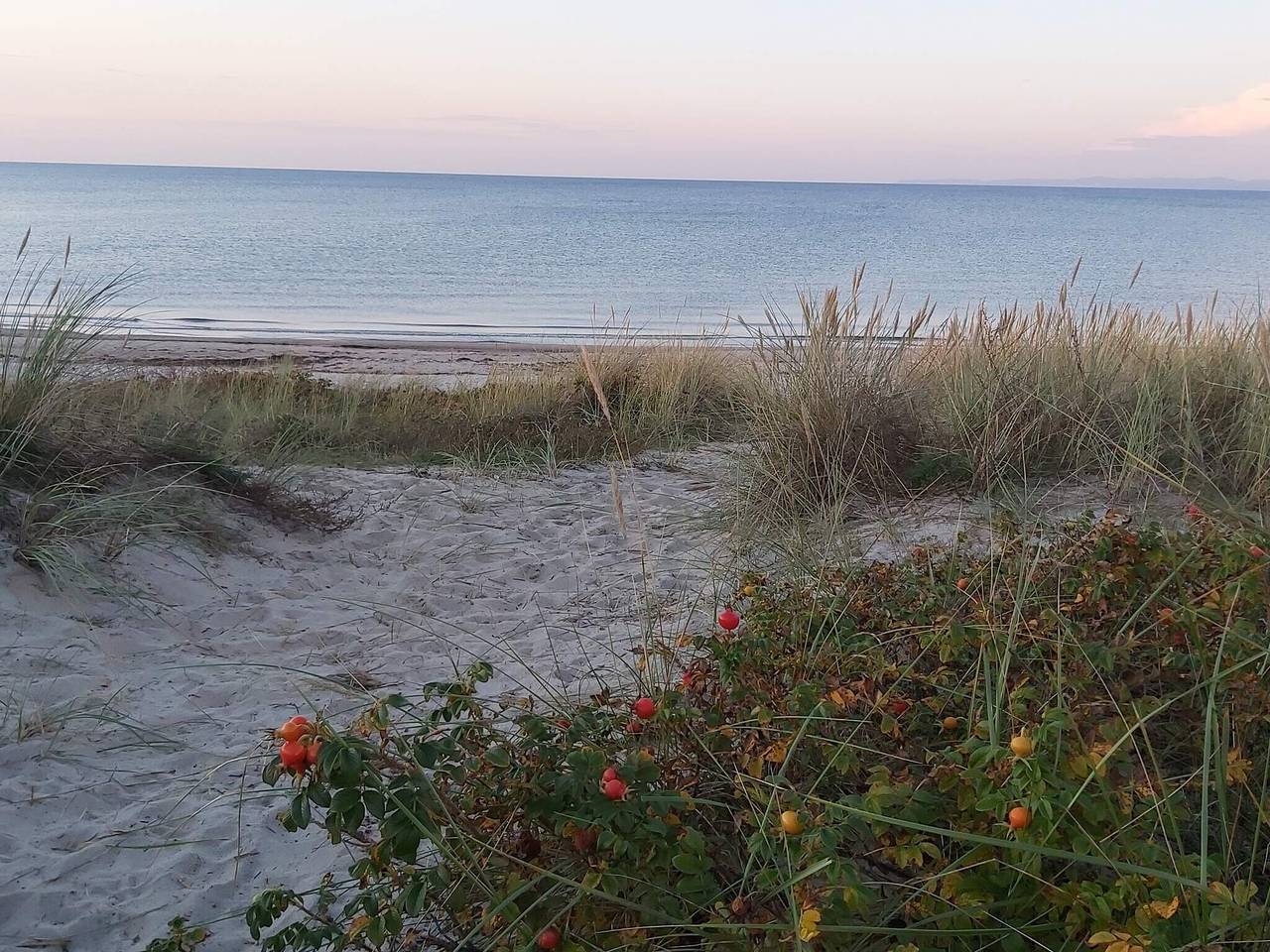 6 persoons vakantie huis in Dronningmølle-By Traum in Dronningmølle, Kattegat Kust