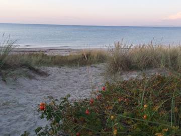 Ferienhaus für 6 Personen in Hornbæk, Gribskov, Bild 4