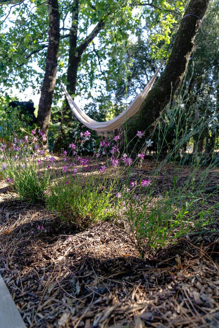 Location de vacances pour 8 personnes à Soulac-sur-Mer - 4