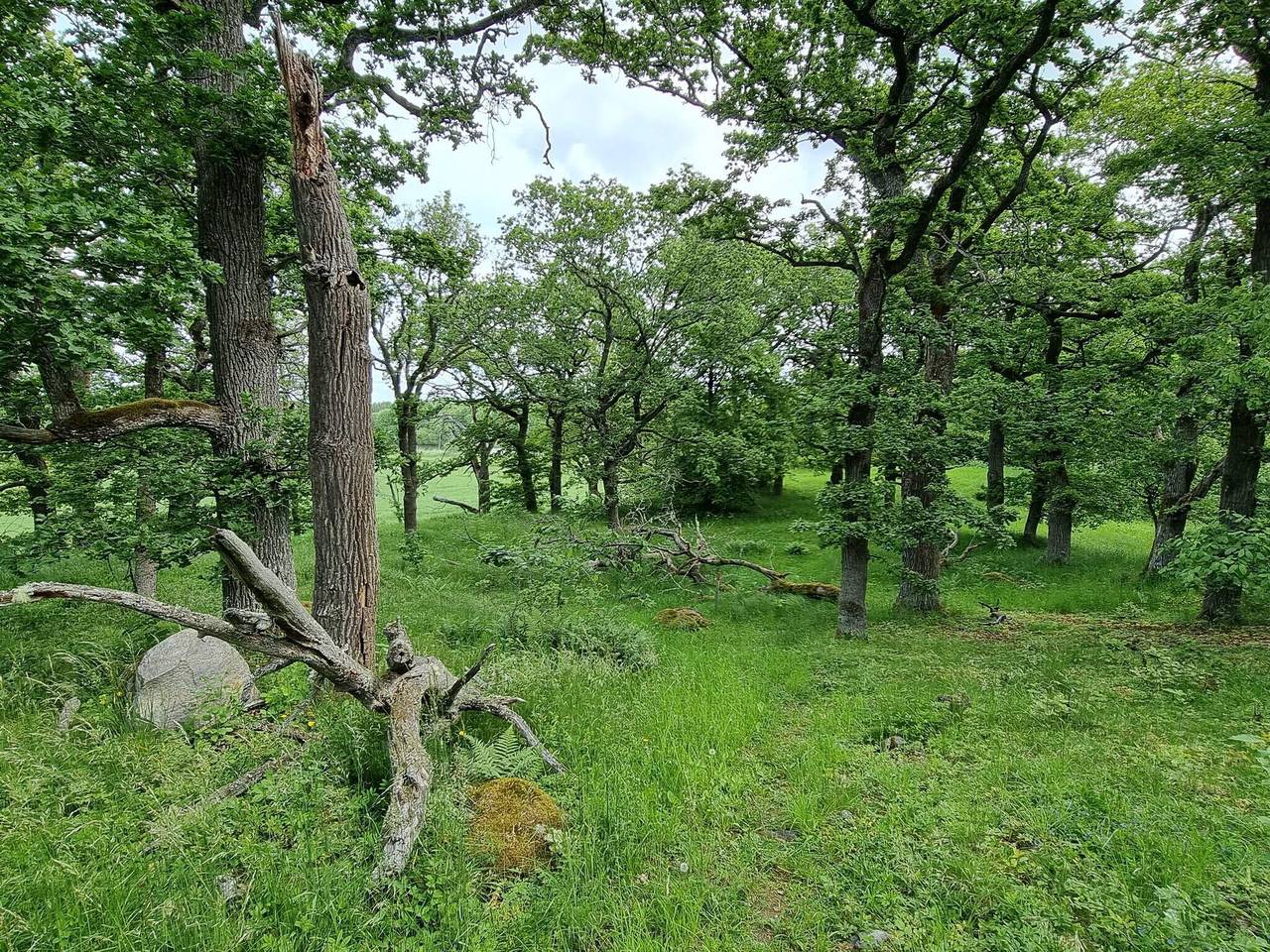 4 Personen Ferienhaus in Torshälla in Mälaren