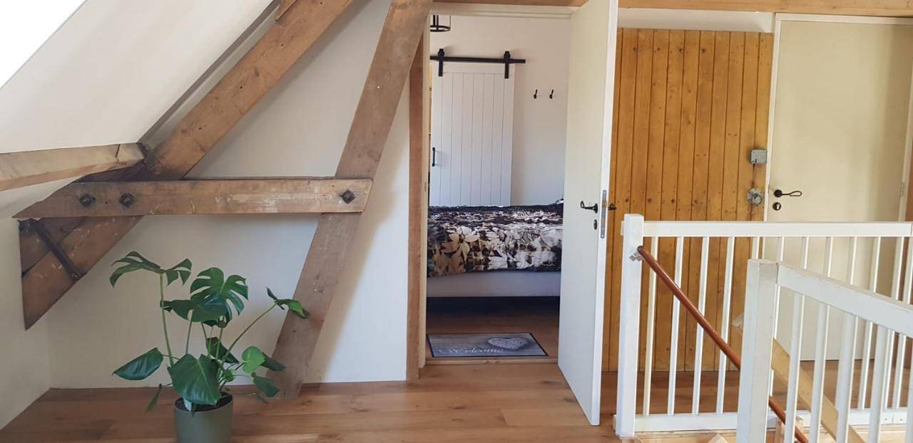 Hoeve Ruimzicht Renesse in Renesse, Côte de Zeeland