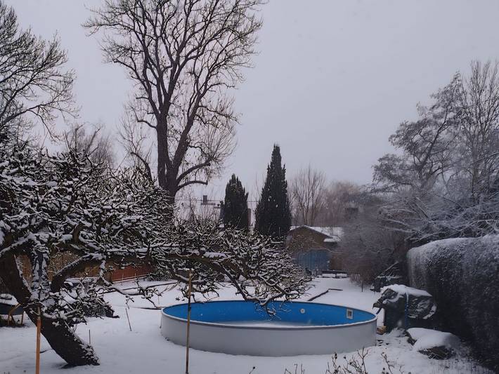Ferienwohnung für 5 Personen, mit Terrasse, mit Haustier in Lübbenau