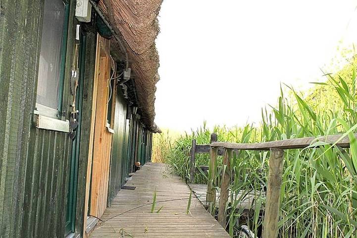 Hausboot für 2 Personen, mit Balkon in Mecklenburgische Seenplatte - 4