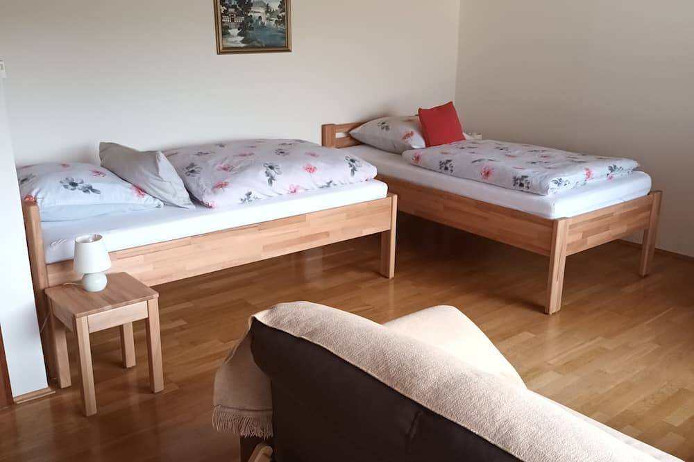 Ganze Wohnung, Büdingen-1-Zimmer-Apartment hell und Allergiker-geeignet in Büdingen, Wetterau