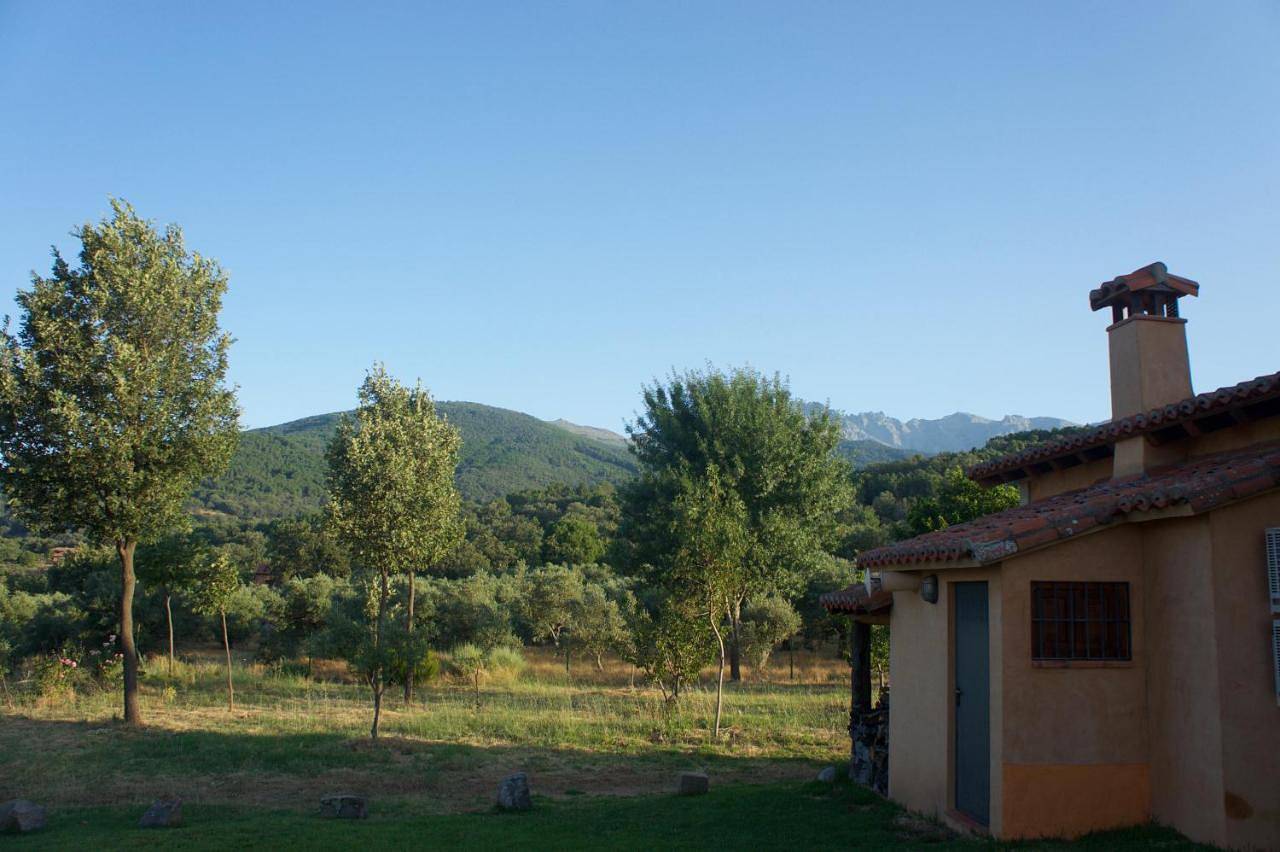 Five-Bedroom House in Candeleda, Valle del Tiétar