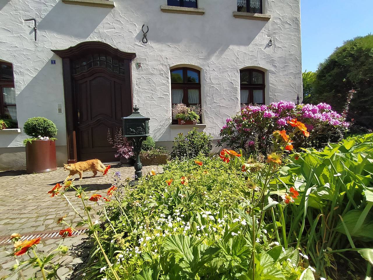 Ganze Wohnung, Ferienwohnung 'Sauerland Burgfenster' mit Bergblick, gemeinsamer Terrasse und Wlan in Lennestadt, Sauerland