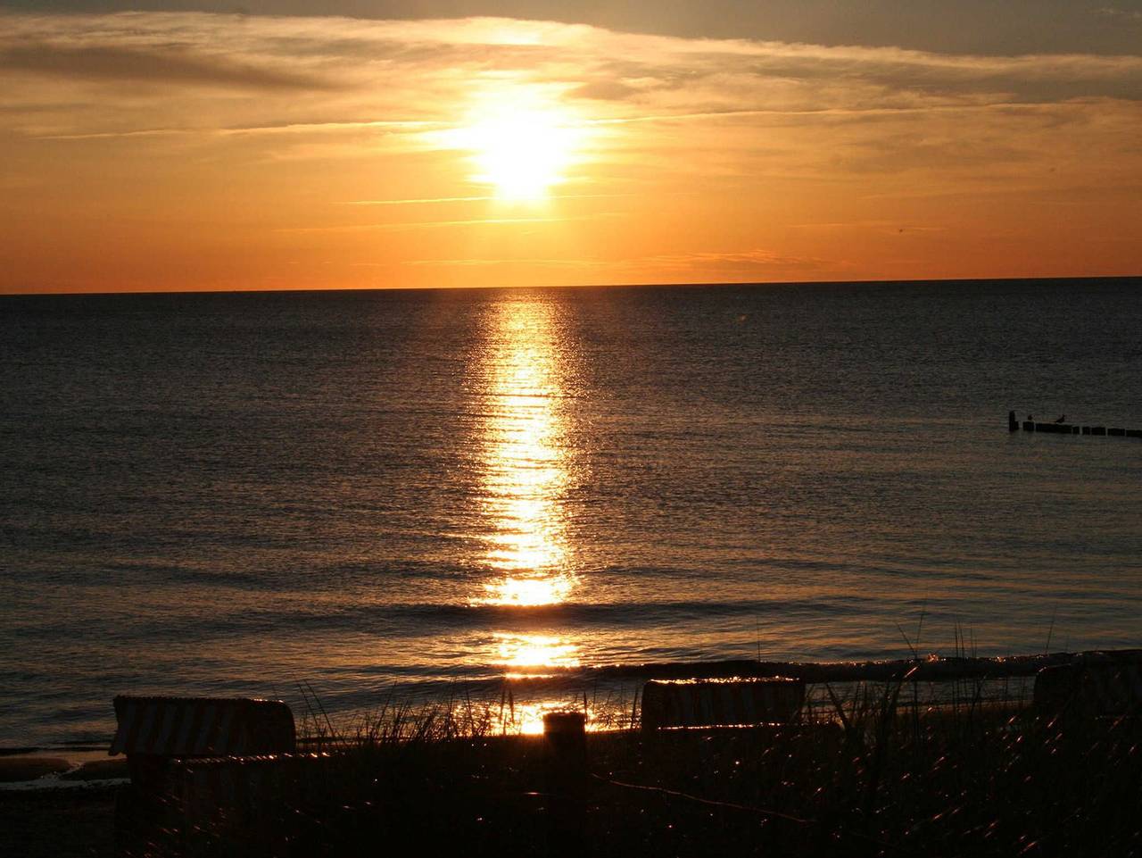 Ganze Ferienwohnung, Ferienhaus Thiel Eg - Id 44172 - Ferienhaus Thiel Eg in Dierhagen Strand, Dierhagen