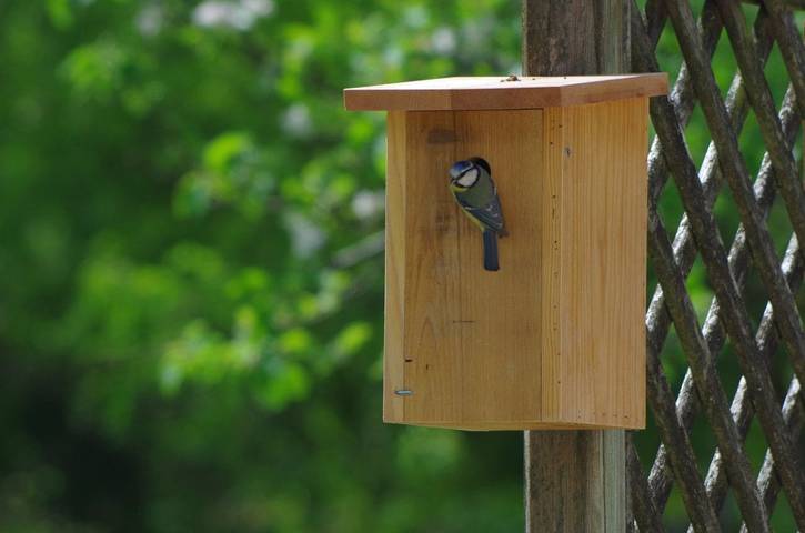 Chambre d’hôte pour 3 personnes, avec jardin en Charente-Maritime - 3