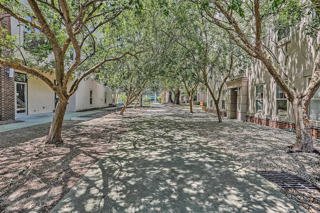 Ganze Wohnung, Neu! Downtown Wilmington Condo, zu Fuß zum Riverwalk! in Wilmington, New Hanover County