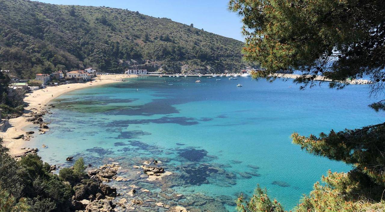 Al Fico Secco Bistrot & Braceria - Room & Breakfast in Centola, Cilento Coast