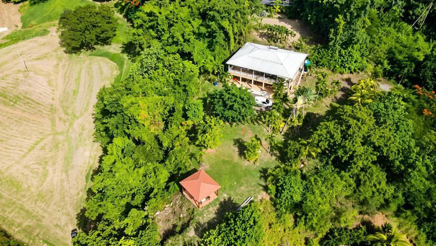 Appartement entier, Appartement cosy au bord de la mer, 30 m², 2 pers. in Rivière-Pilote, Martinique