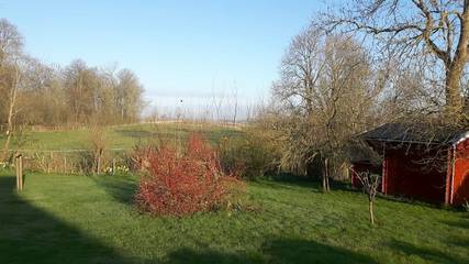 Glamping voor 5 Personen in Witzwort, Noord-Friese Schiereiland, Afbeelding 2