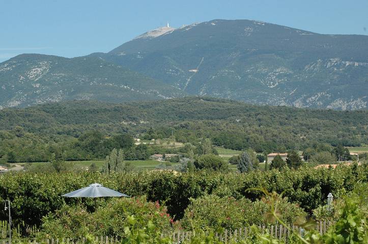 Gîte pour 4 personnes, avec jardin ainsi que piscine et terrasse, animaux acceptés dans Dentelles de Montmirail - 3
