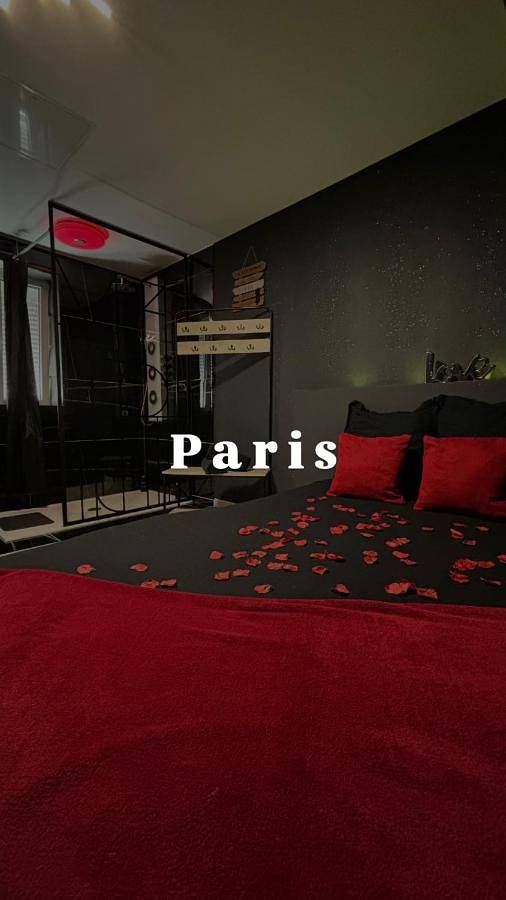 Location de vacances pour 3 personnes, avec sauna ainsi que terrasse et jacuzzi à Denain - 2