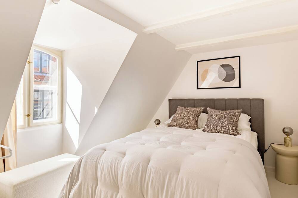 Entire apartment, Admiral - Cosy 1-Bdr Apt in Central Copenhagen in Copenhagen City, Copenhagen
