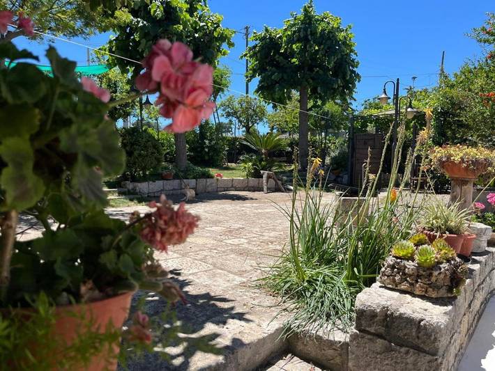 Ferienhaus für 3 Personen, mit Garten und Ausblick - 1
