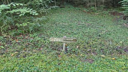 Chalet for 2 Guests in Blue Ridge Mountains, North Carolina, Picture 1