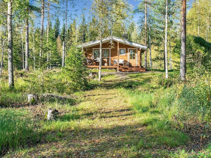 Niemenkärki, vaikon loma 8 in Vihtajärvi