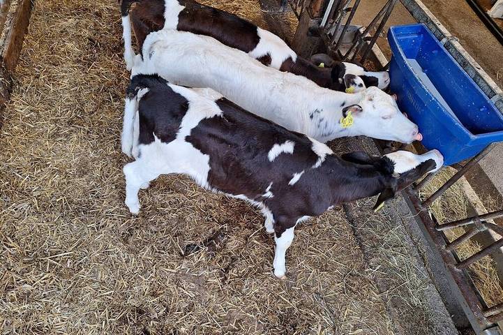 Agriturismo für 4 Personen, mit Garten in Kollmar - 4