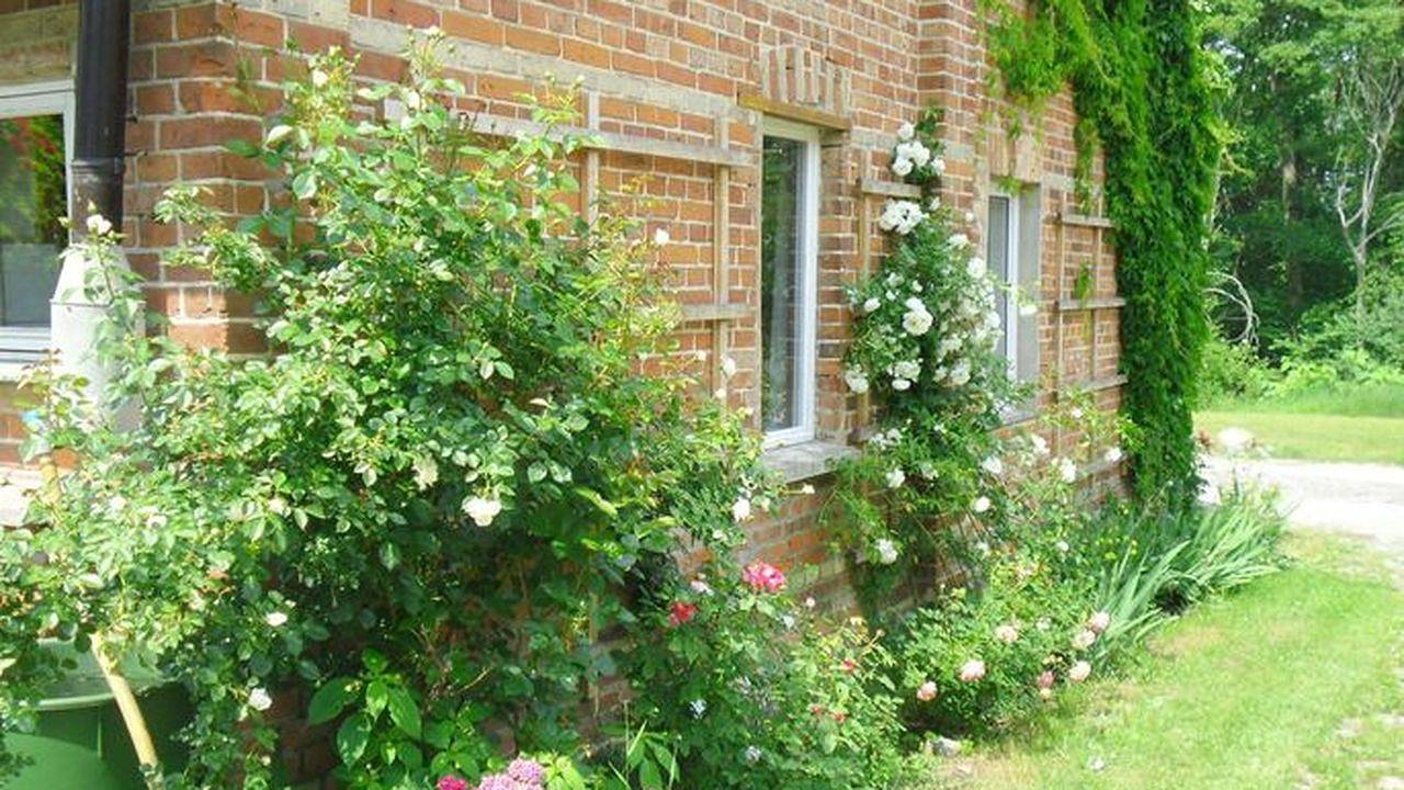 Ganze Ferienwohnung, Ferienwohnung für 6 Personen (85 m²) in Ulrichshusen in Schwinkendorf, Moltzow