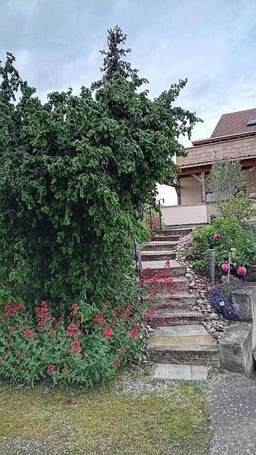 Gîte pour 2 personnes, avec vue et terrasse à Osthouse - 2