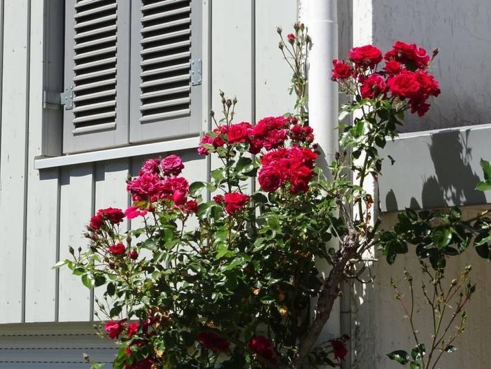 Ferienwohnung für 4 Personen, mit Balkon und Garten sowie Ausblick