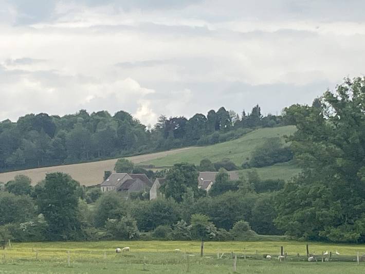 Gîte pour 15 personnes, avec terrasse et jardin, animaux acceptés dans la Sarthe - 4