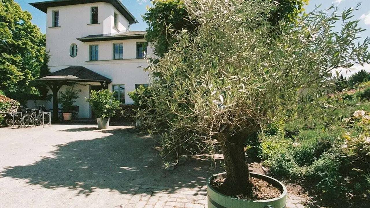 Ferienhaus für 4 Personen (65 m²) in Werder (Havel) in Plötzin, Werder