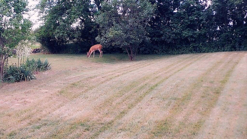 Silver Lake - 4th of July - Lake Access - Mis in Lenawee County