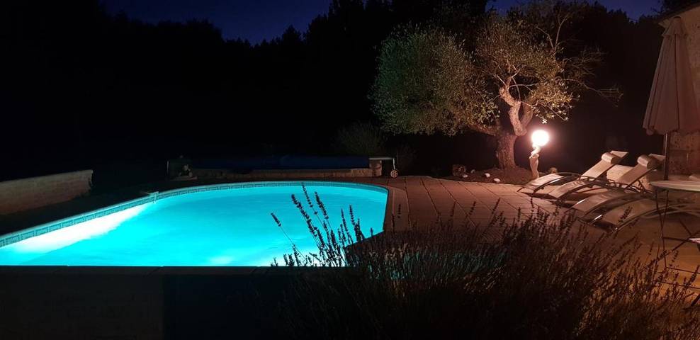 Location de vacances pour 2 personnes, avec piscine et jardin ainsi que jacuzzi et sauna à Bussac-Forêt - 3