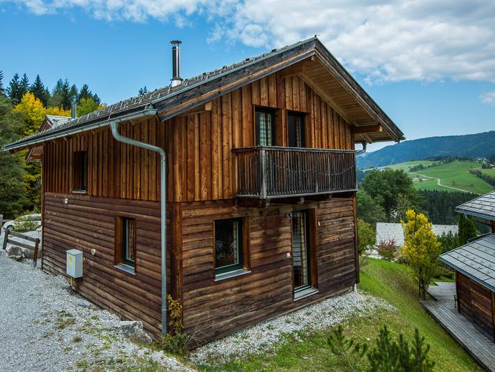 Ferienhaus für 6 Personen, mit Garten und Sauna sowie Balkon in Annaberg-Lungötz - 3