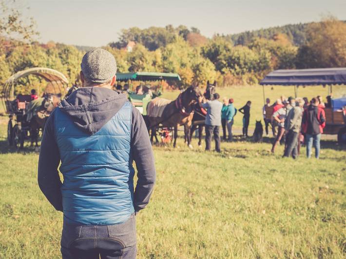 Ganze Ferienwohnung, Ferienwohnungen Gutshof Schirgiswalde - Ferienwohnung "Löwenzahn" in Schirgiswalde, Schirgiswalde-Kirschau