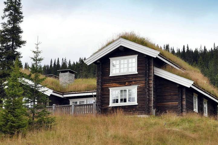 Ferienhaus für 12 Personen, mit Terrasse und Sauna, mit Haustier - 1