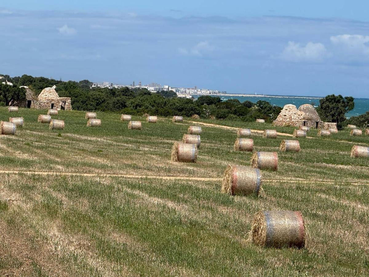 Le Scale di Pietra in Conversano, Provincia di Bari