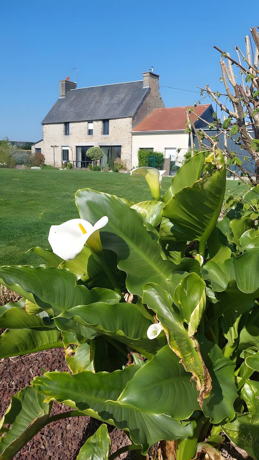 Ferienhaus „Gîte Du Bois“ – barrierefrei mit privatem Garten in Ponts, Côte de la Déroute