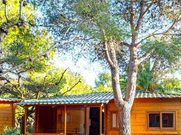 Chalet für 6 Personen in Mont-roig del Camp, Baix Camp, Bild 2
