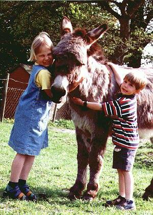 Bauernhof für 5 Personen, mit Garten, kinderfreundlich in Werdum - 2