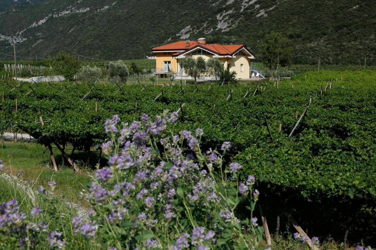 Ganze Wohnung, Appartamenti Al Vigneto in Dro, Gardasee-Berge