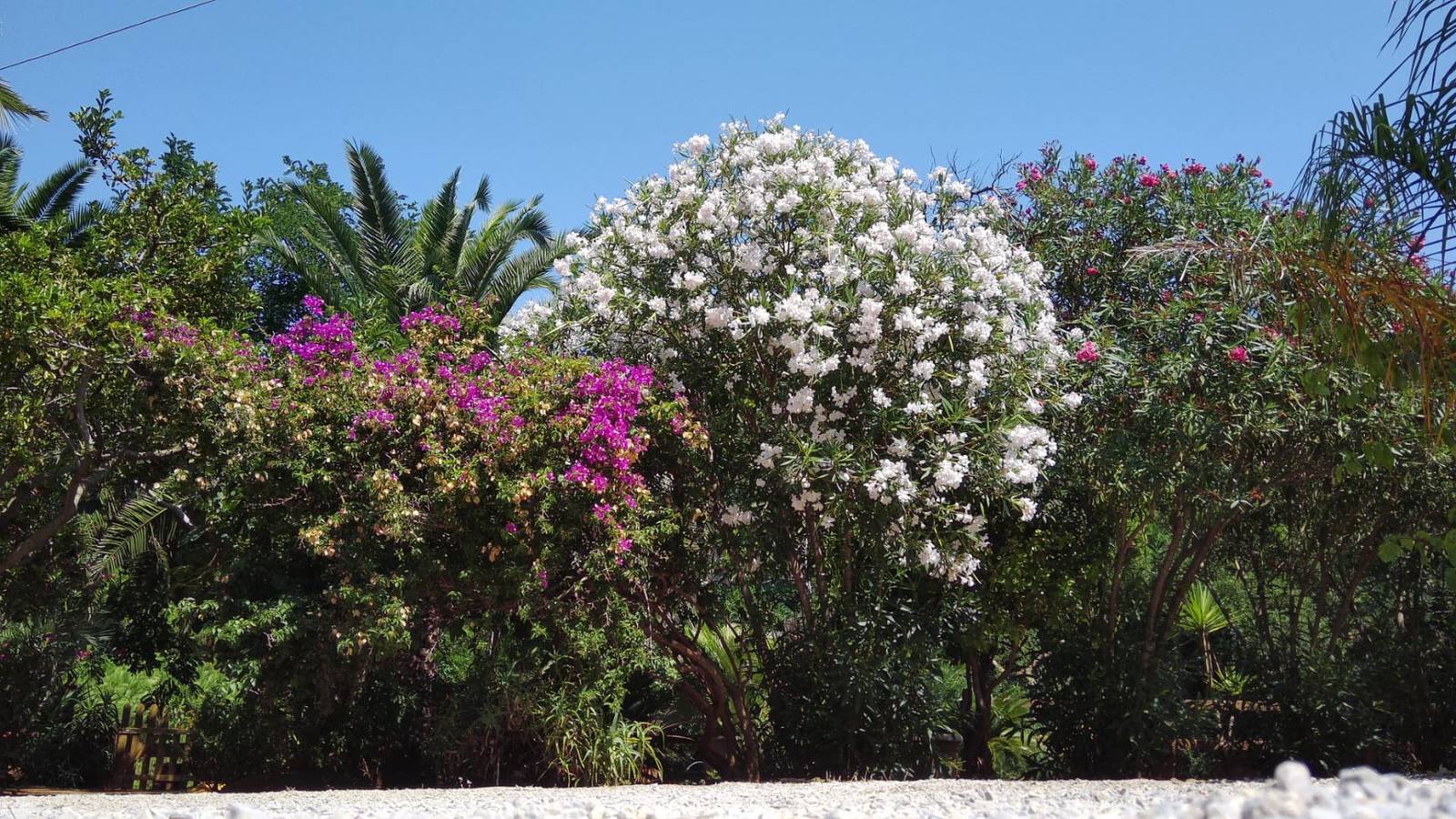 Appartamento intero, Villa Pineta Mare - Pigna 4 - Villa Pineta Mare in Innamorata, Isola d'Elba
