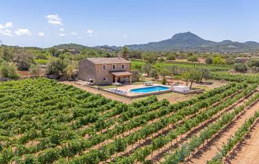 Ferienhaus in Felanitx, Mallorca Süden für 5 