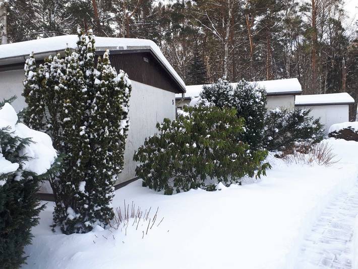 Ferienhaus für 4 Personen, mit Terrasse und Garten in Trassenheide - 4