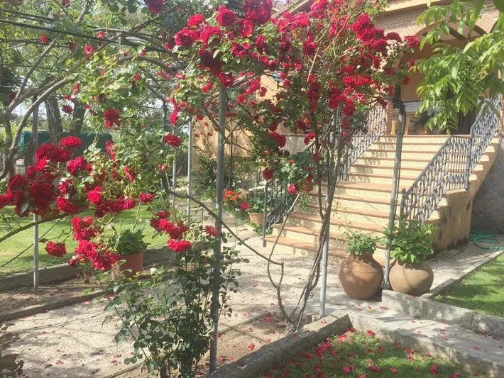 Casa de vacaciones para 14 personas, con piscina además de vistas y jardín, Se admiten mascotas - 1