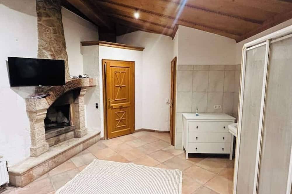 Geheel appartement, Honor - All-in-one room in Linz, Linz - Wels