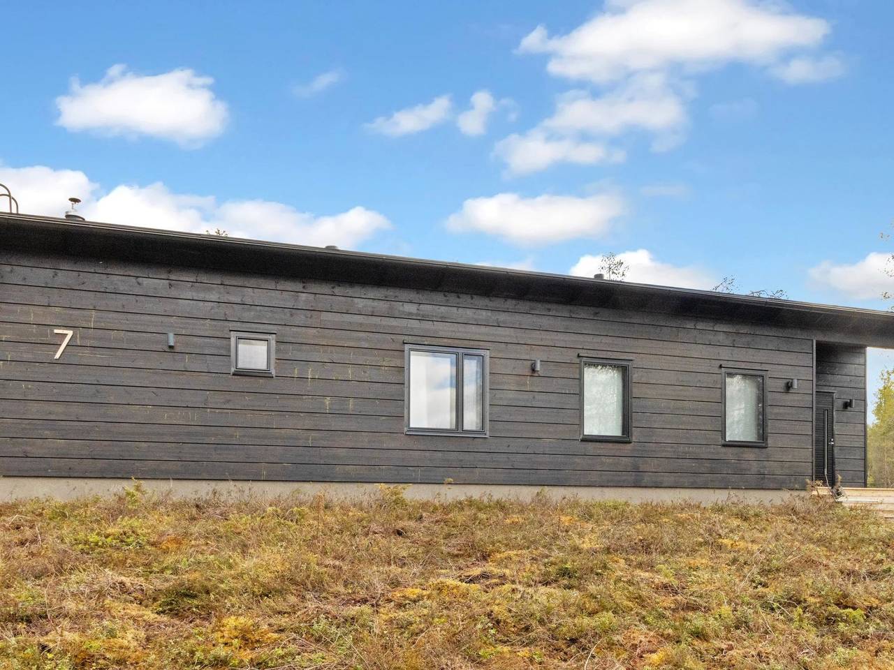 Sallan kuukkeli in Sallatunturi, Lappland