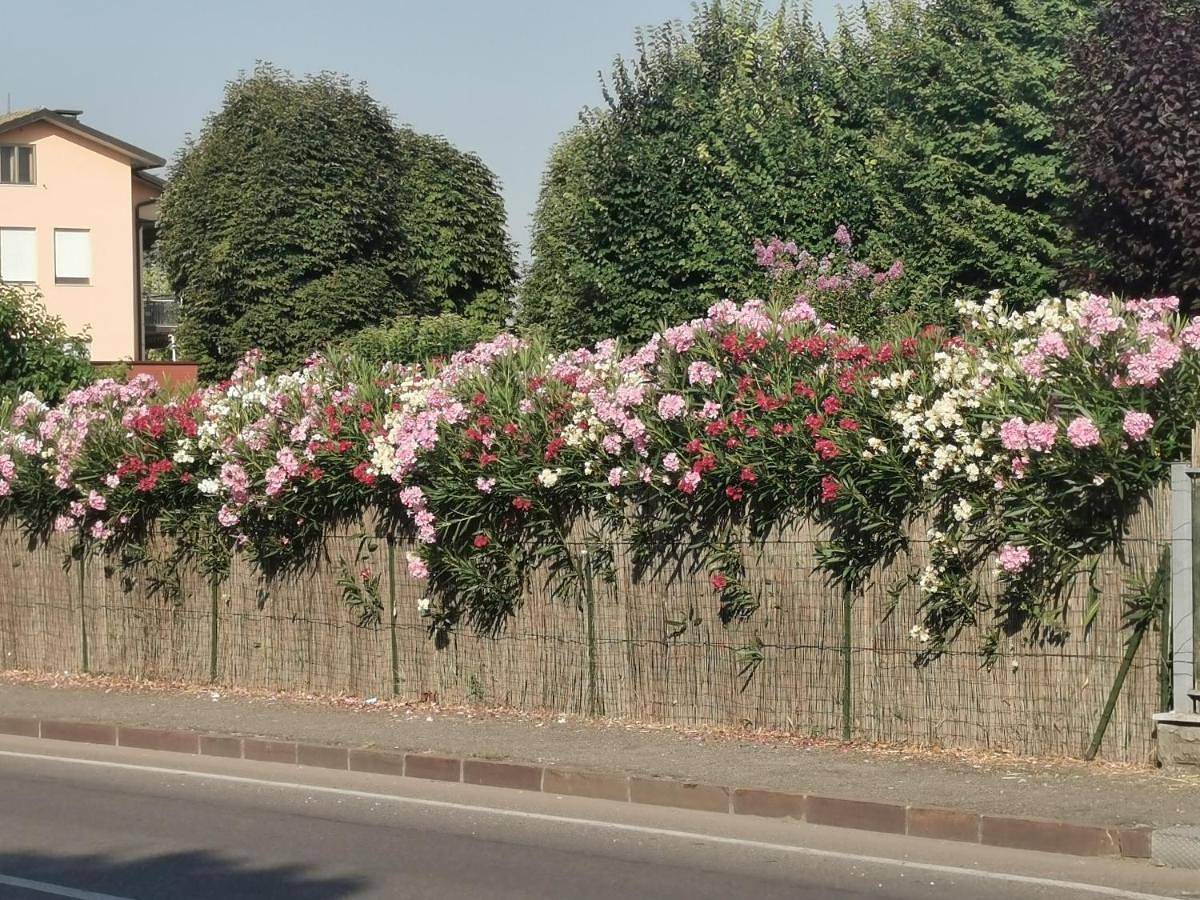 B&B La Casa del Barbiere in Modena, Provincia di Modena