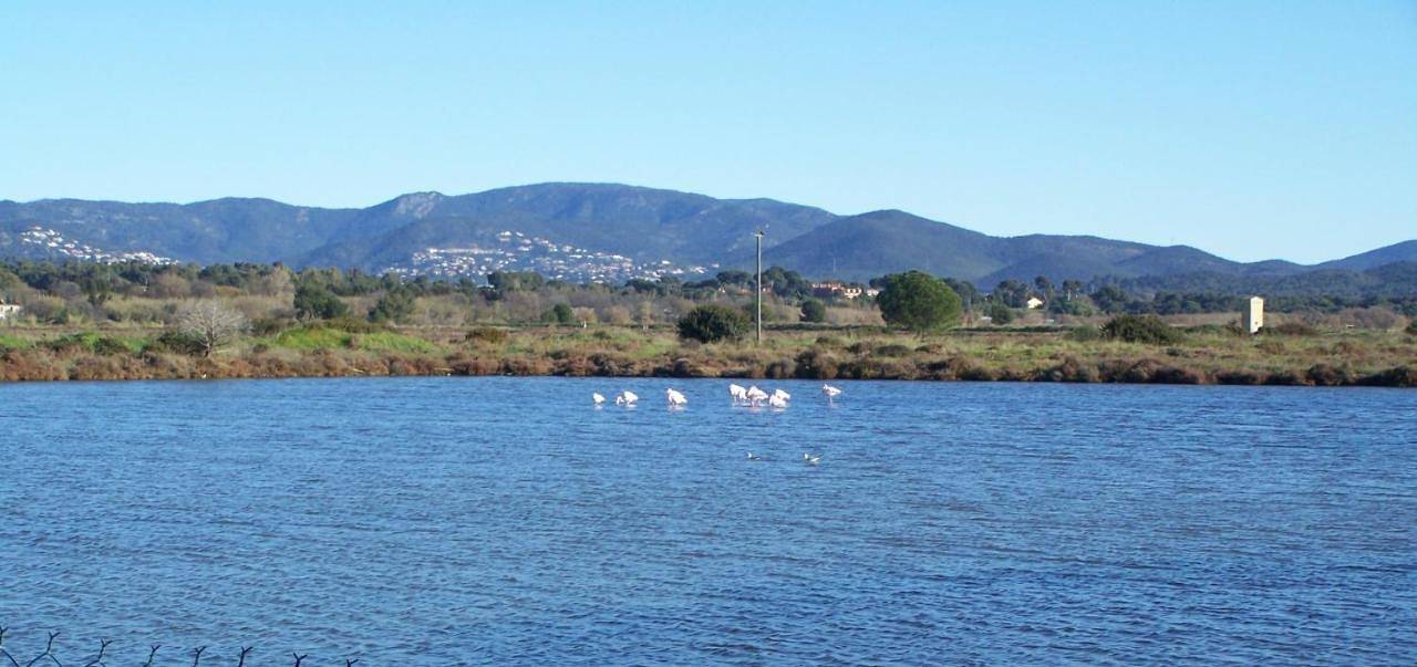 Appartement entier, Apartment in Hyeres, Parc national de Port-Cros