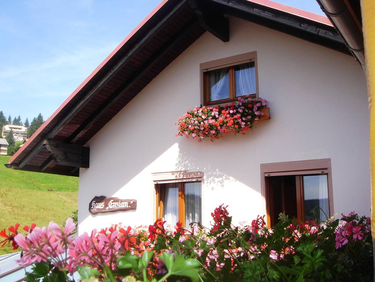 Room 'Double Room' with Mountain View, Private Terrace and Wi-Fi in Suedlicher Schwarzwald, Todtnau