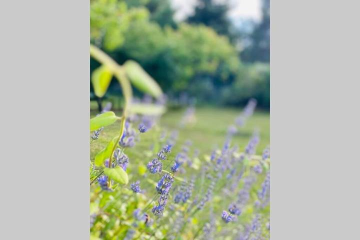 Location de vacances pour 6 personnes, avec jardin à Mareuil-sur-Cher - 4