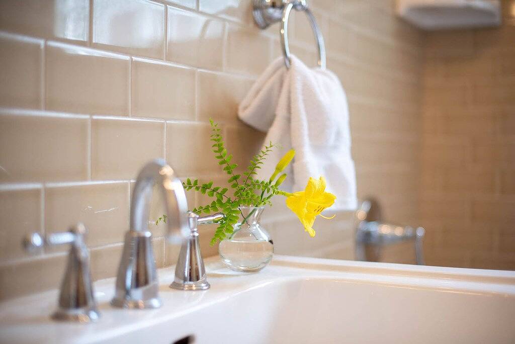 Ganze Wohnung, Roscoe Village- Nur wenige Schritte, um nette Geschäfte und Restaurants! Schlafmöglichkeiten 4-6 in Chicago, Cook County